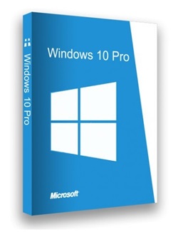 Windows 10 Pro x64 22H2 En-Us 19045.3031 May 2023 Team-LiL torrent